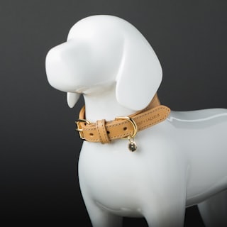 Leather collar